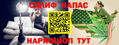 спайс Кинель