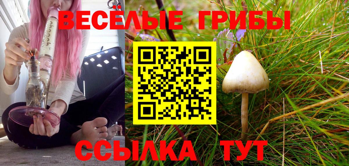 Галлюциногенные грибы Magic Shrooms  Вход с VPN  где купить наркоту  Кувандык 